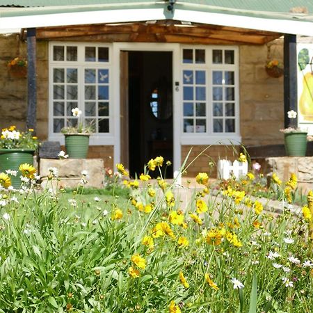 Peerboom Guesthouse 푸리즈버그 외부 사진